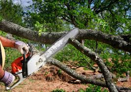 Mulching Services in Hallsville, MO